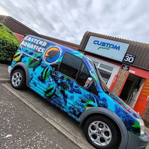 CUSTOM PRINT - car wrapping services